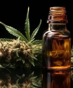Cannabis Oil