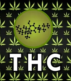 THC Vapes